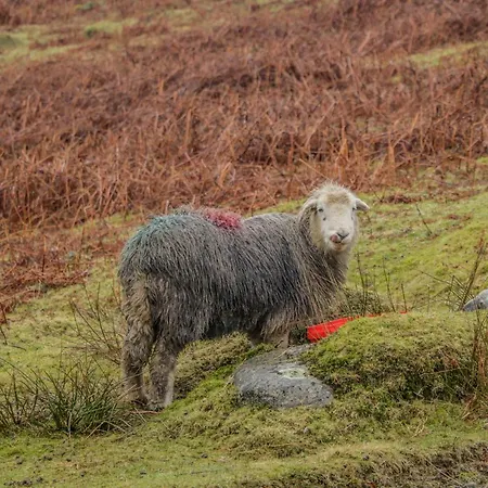 Swaledale Watch Garden Annexe Дом отдыха